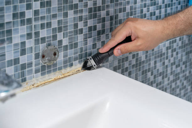 Reliable Malden, MA Mold Removal Solutions