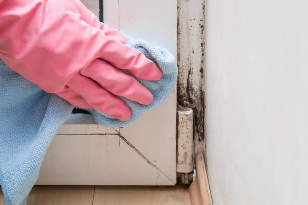Crawl Space Mold Removal in Malden, MA